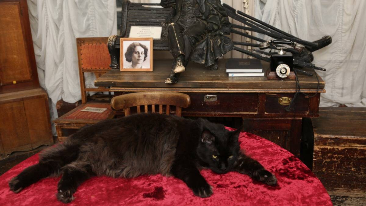    Современный кот Бегемот в доме № 10 на улице Большая Садовая / Фото: Наталья Шатохина / Вечерняя Москва