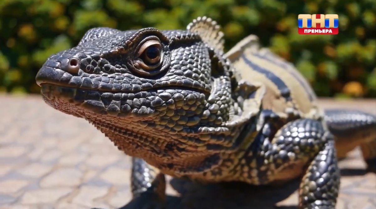 Большой куш. Серия от 20.07.2025