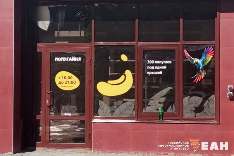    В Екатеринбурге из-за ремонта дороги перенесли официальное открытие «Попугайни»