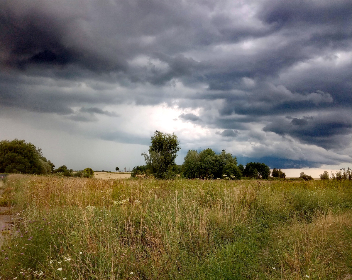 Будто осень настала. 