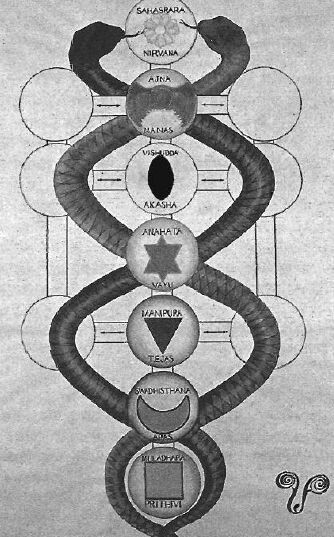 "Восхождение" по Древу жизни
