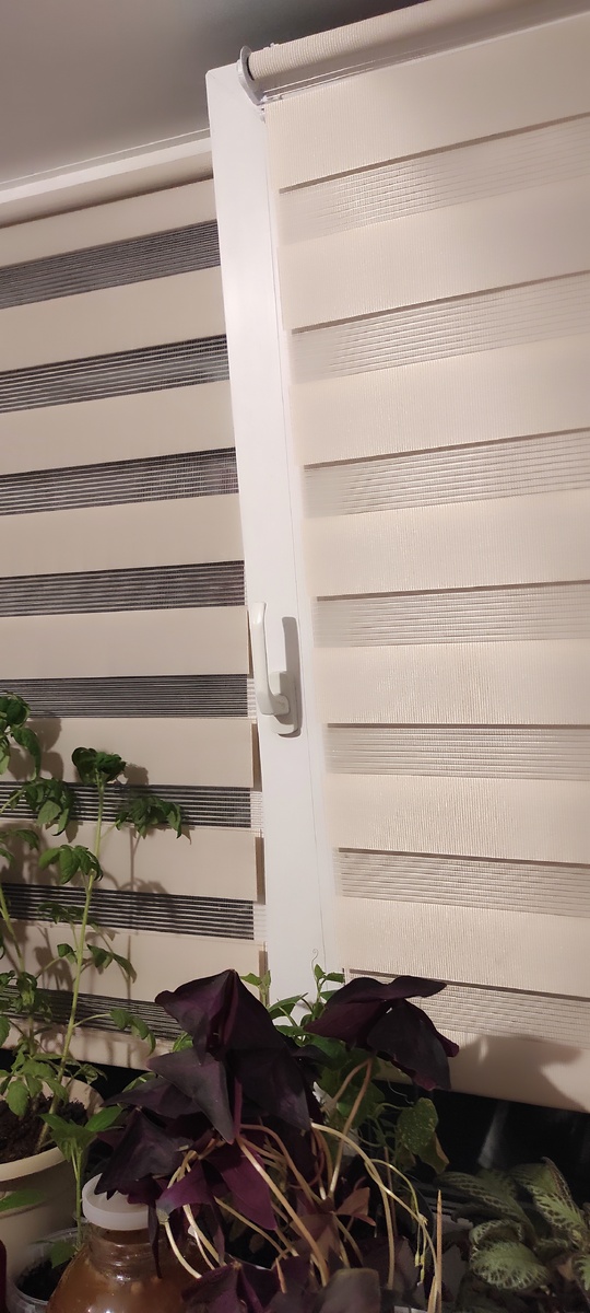 Рулонные шторы