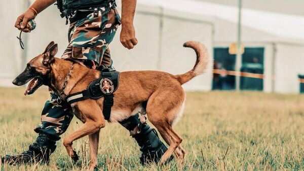    © Photo : Facebook / Valstybės sienos apsaugos tarnyba