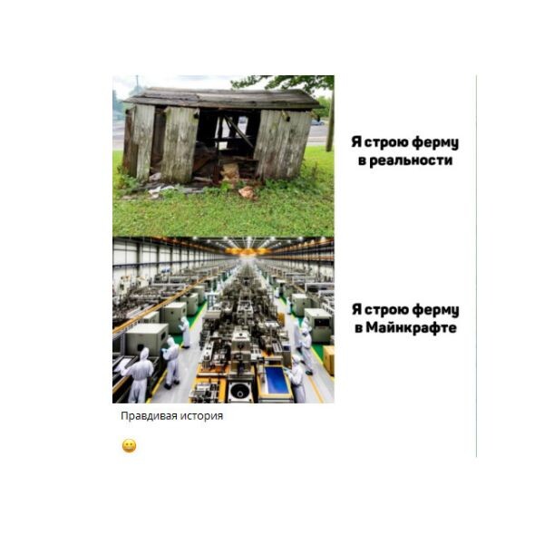 ТГ-КАНАЛ МАКРИПС