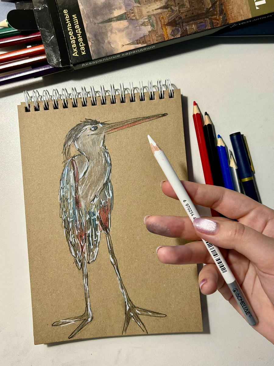 птица акварельными карандашами