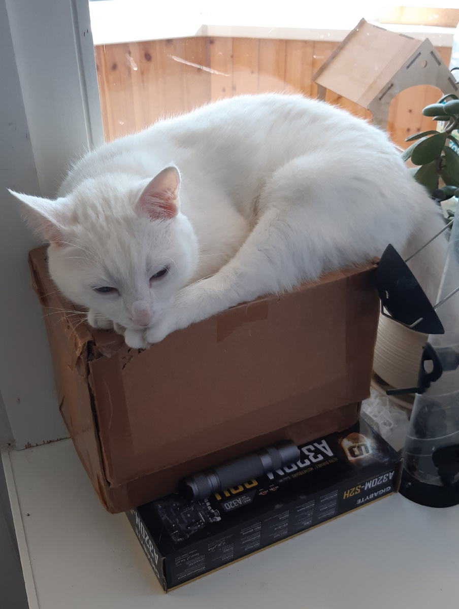 Мелкий на посту.