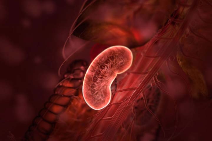 Причины почечной недостаточности