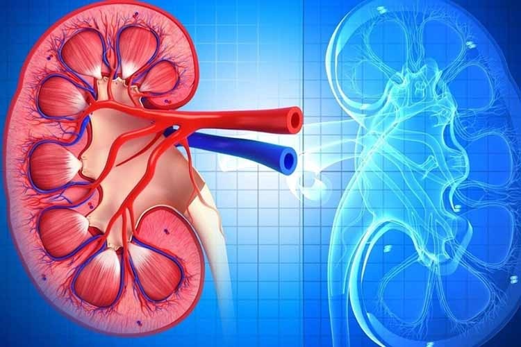 Гломерулонефрит