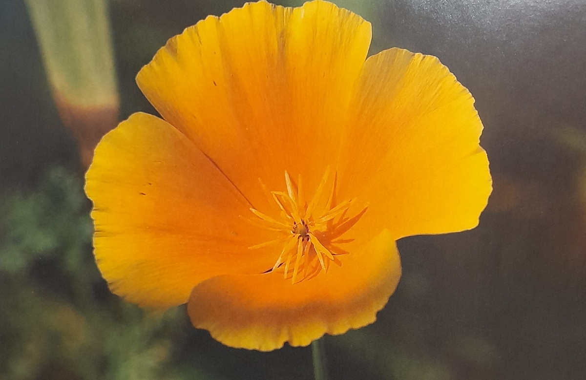 фото автора канала