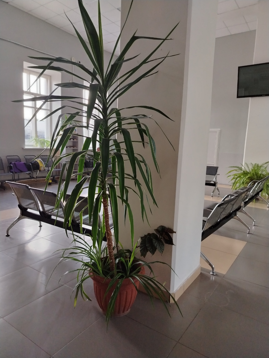 Железнодорожный вокзал в Чаплыгине