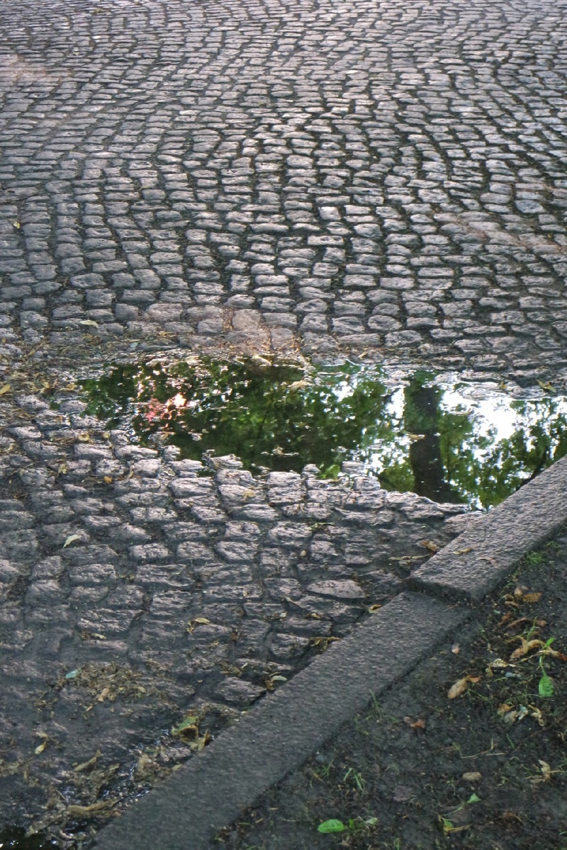 изумрудная вода луж...