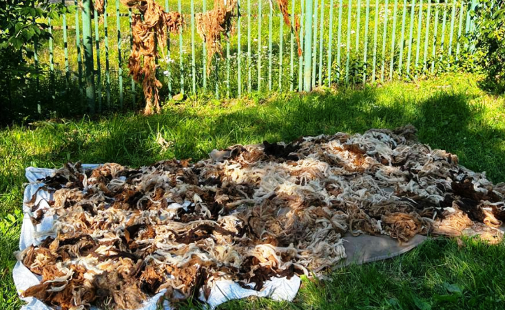 Фото из открытых источников.