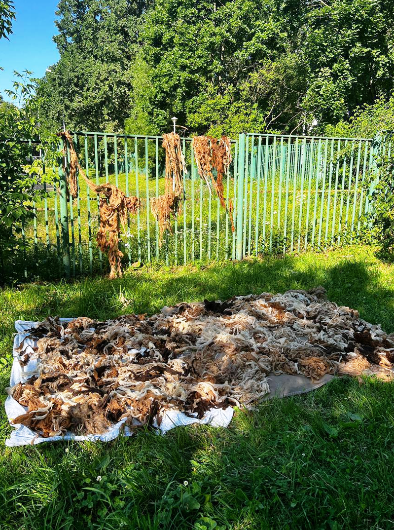 Фото из открытых источников.