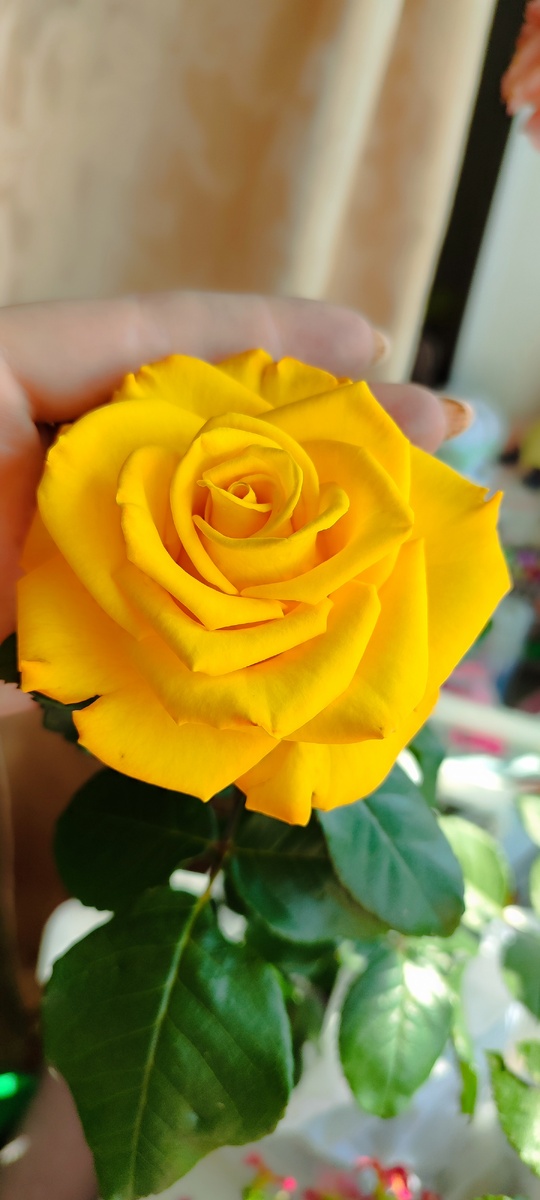 Фото для авы, а то опять за откровенный контент забанят