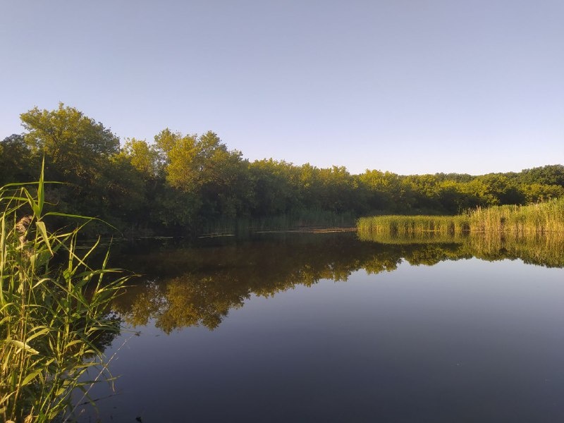 Утренняя речушка Елань. Фото автора