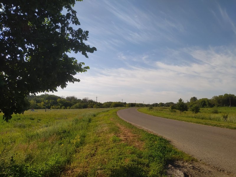 Утро. Дорога. Фото автора