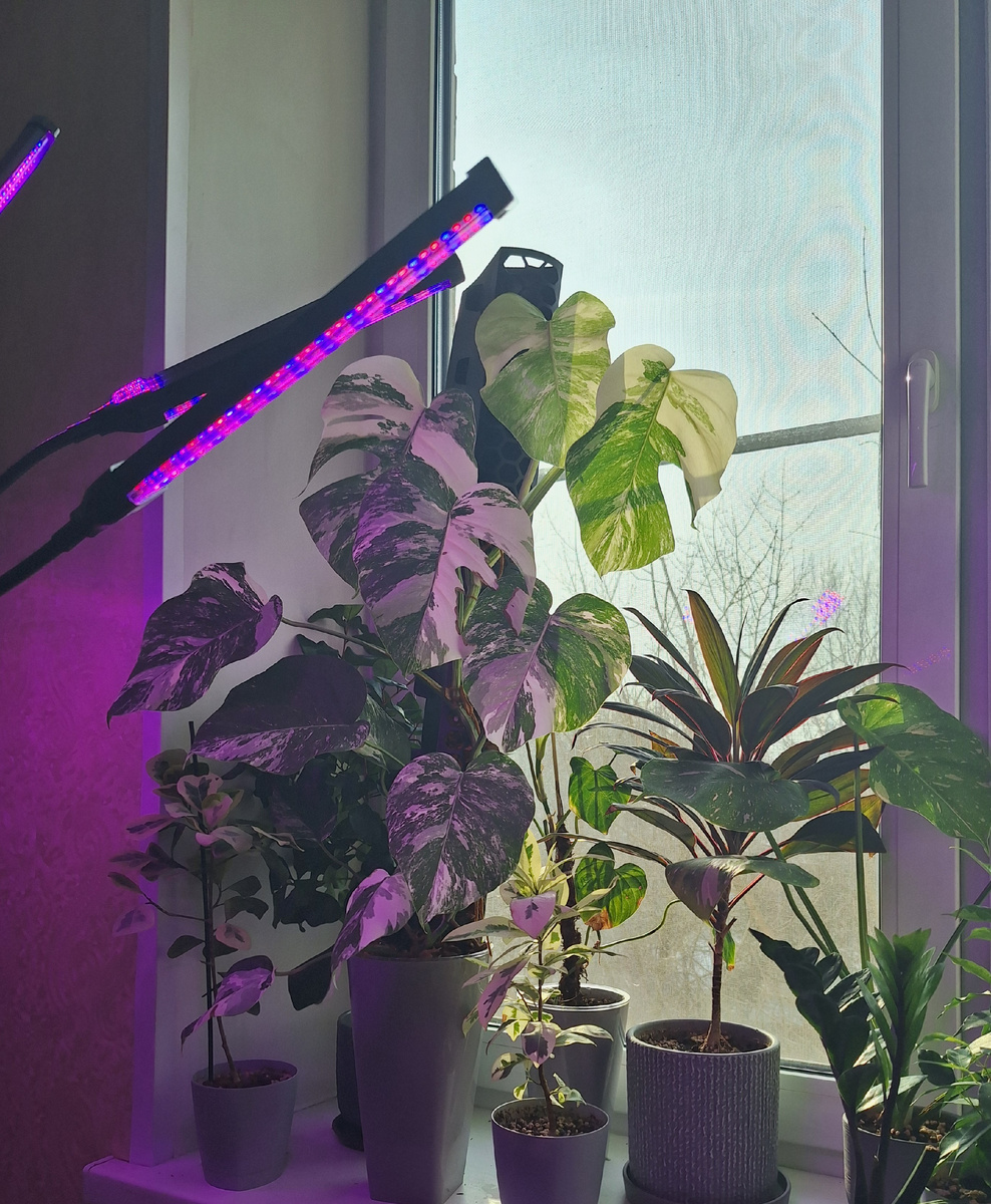 Дополнительное освещение зимой