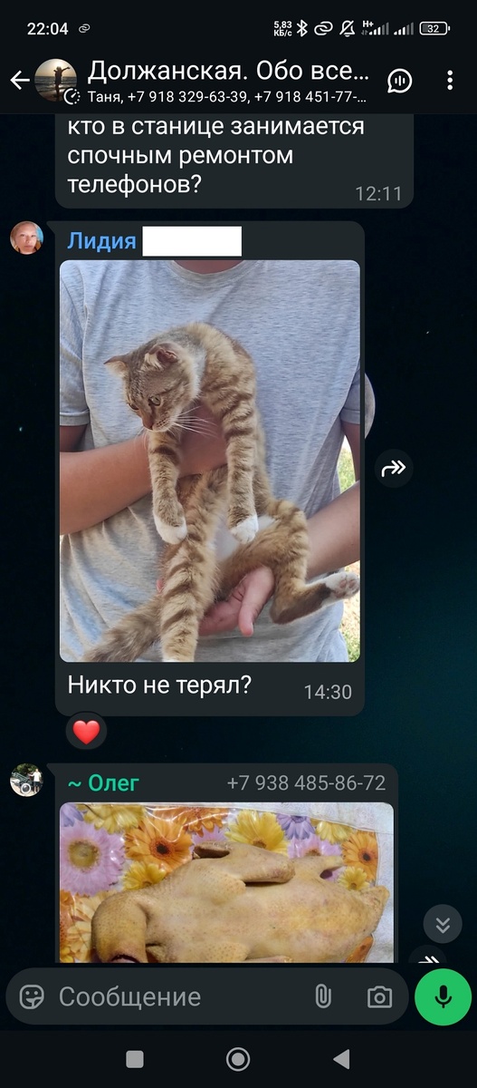 Скрин автора