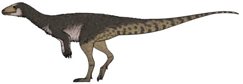 Реставрация прижизненного облика ахвайтума.