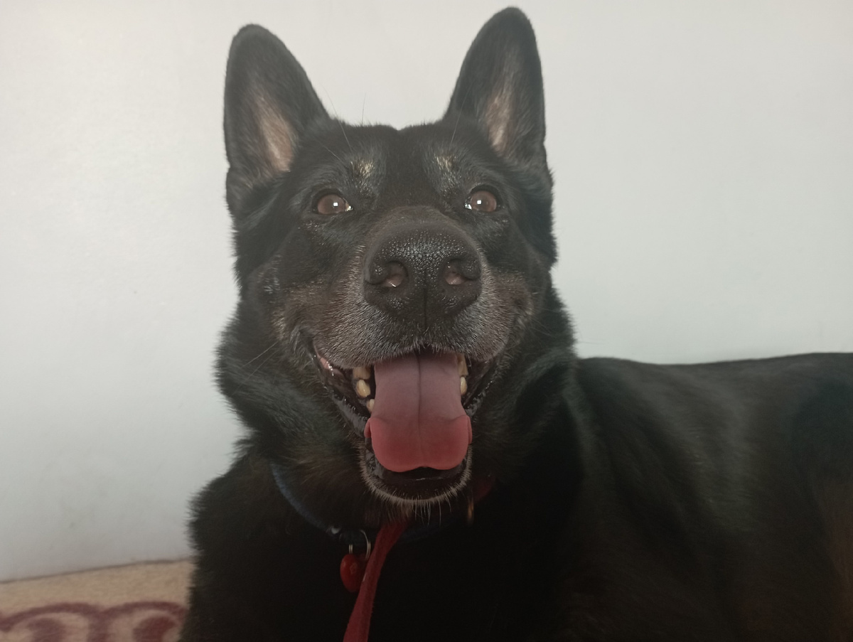 Мой сладкий ребенок.