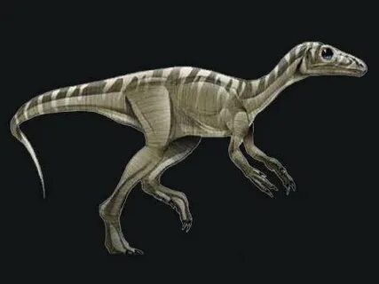 Некий ранний динозавр.