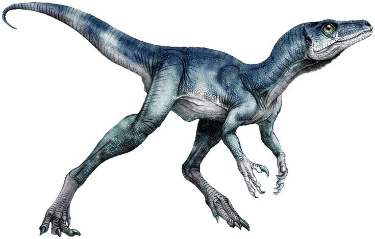 Голый эораптор.