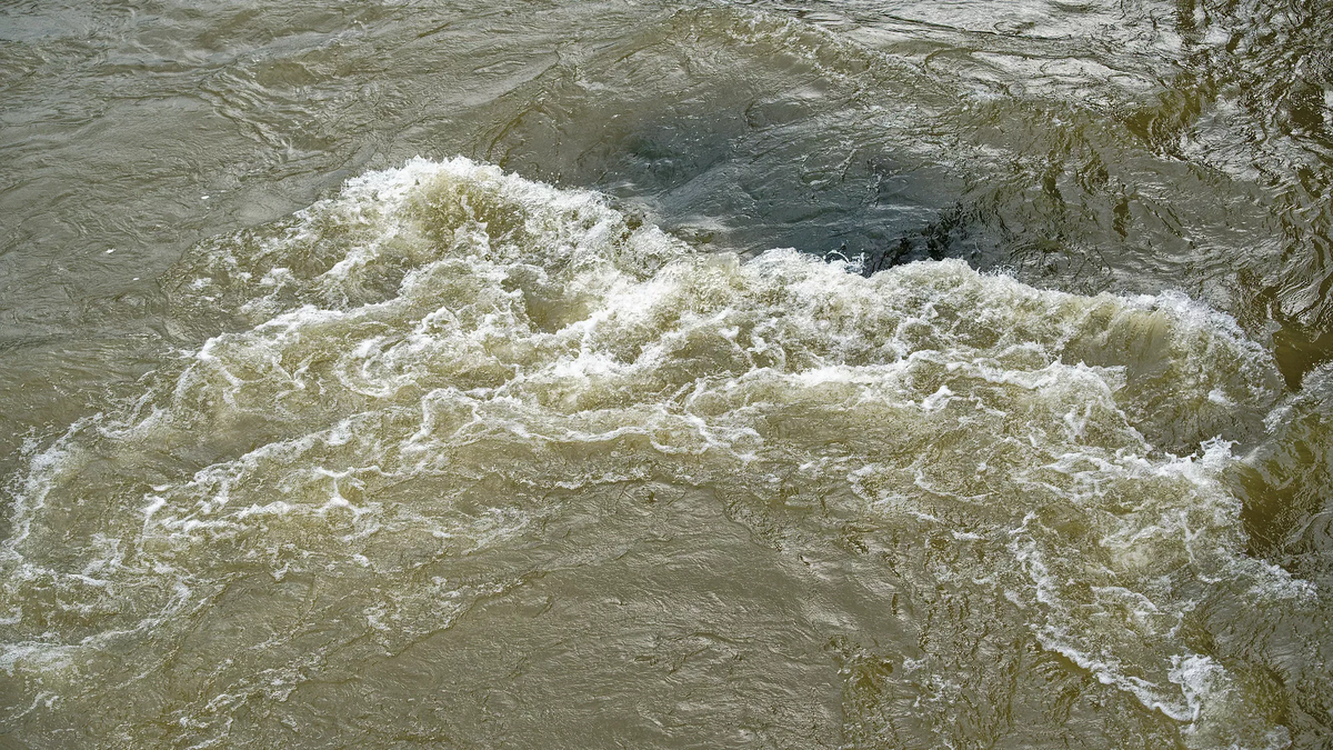 © photo: Sputnik / Stringer