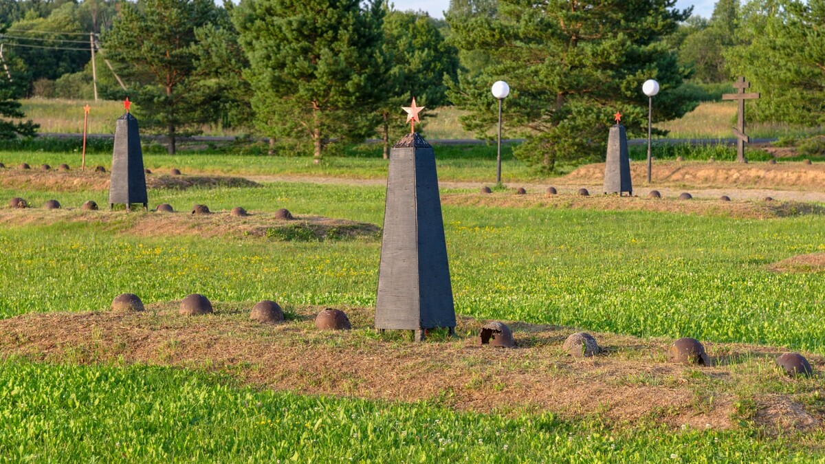    Фото: shushonok/Shutterstock/Fotodom