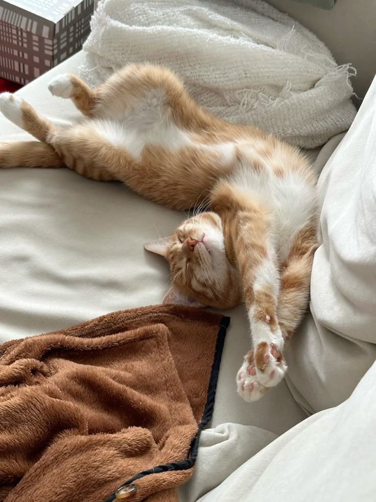 Источник: pinterest.com