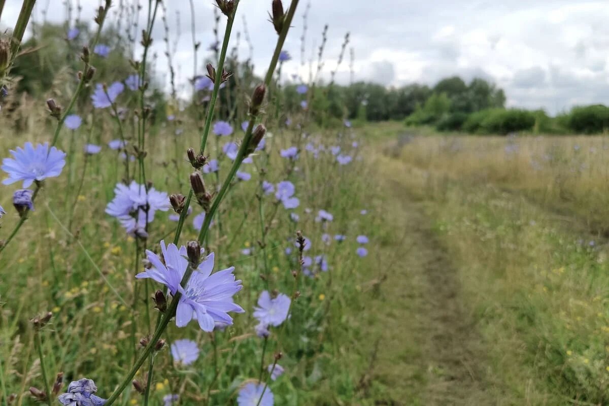 Фото: UfaTime.ru