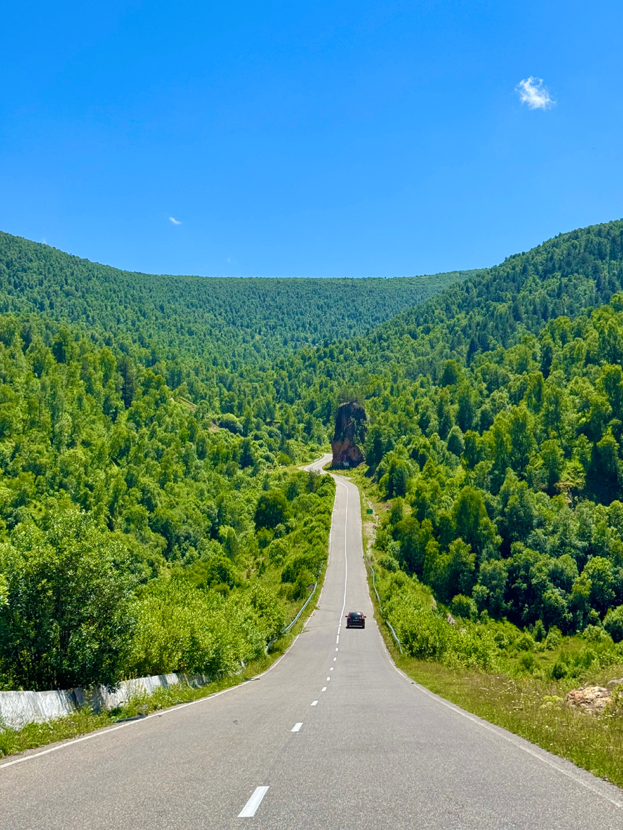 фото Сад в стиле Paradise ®