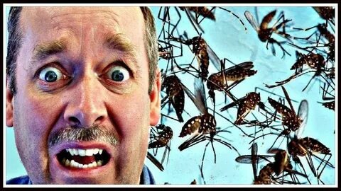 Фотографии взяты из открытых источников