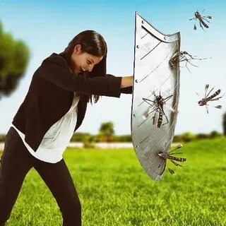 Фотографии взяты из открытых источников