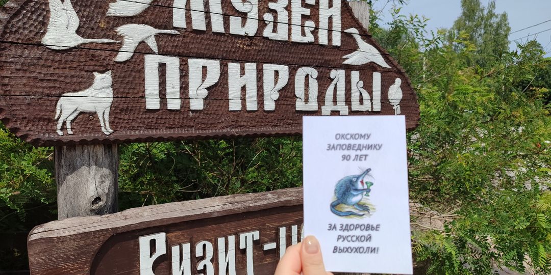Окский заповедник - журавли, бизоны, неуловимая выхухоль и прекрасная красная Пра