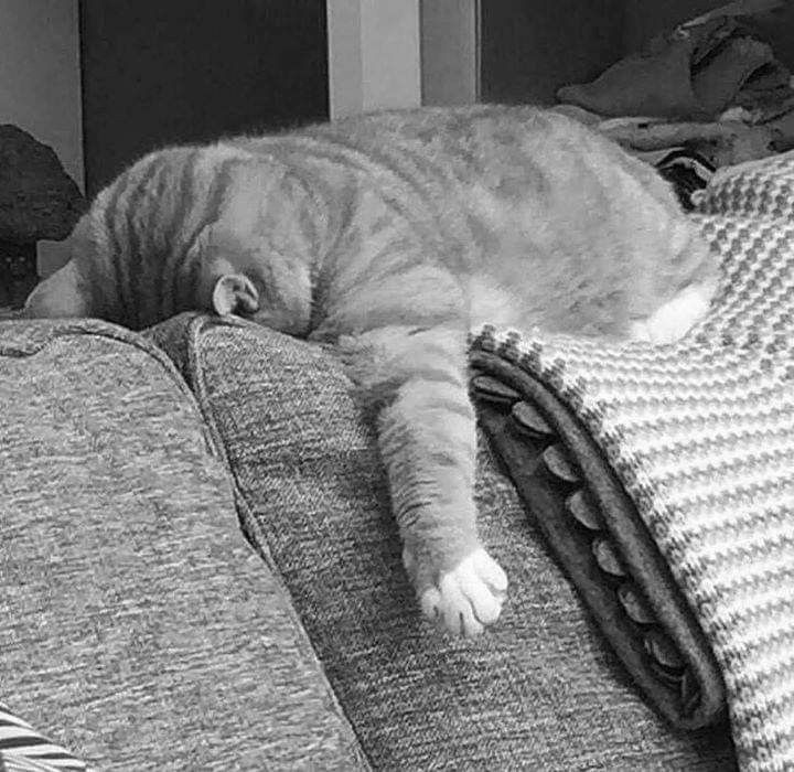 Источник: pinterest