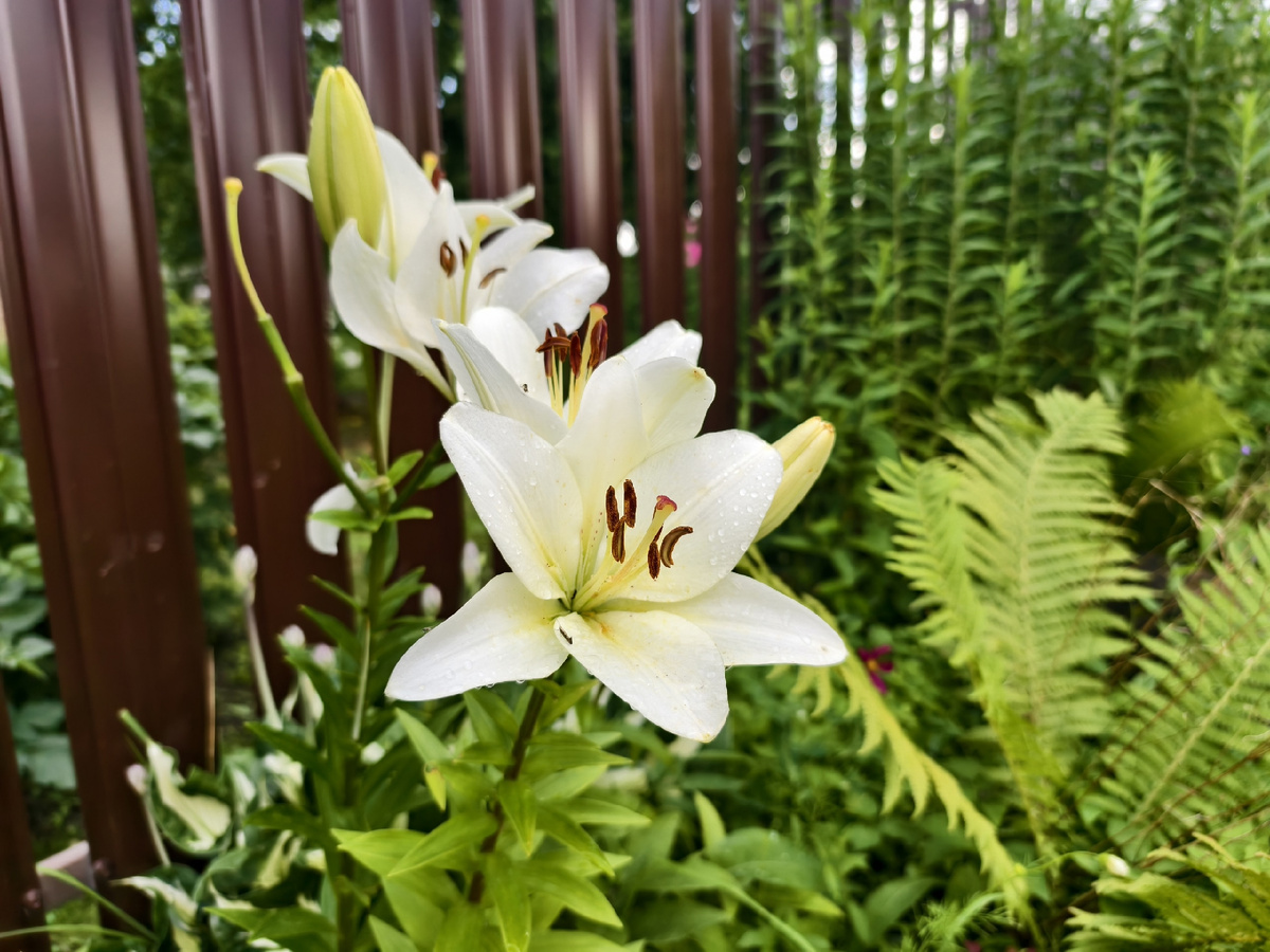 На покатушке 