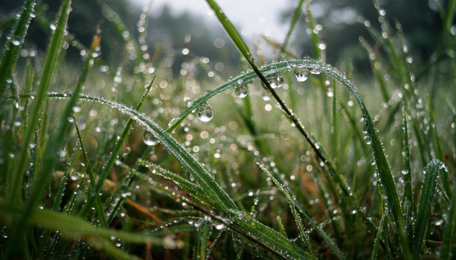    Сгенерировано в Midjourney/NEWS.ru