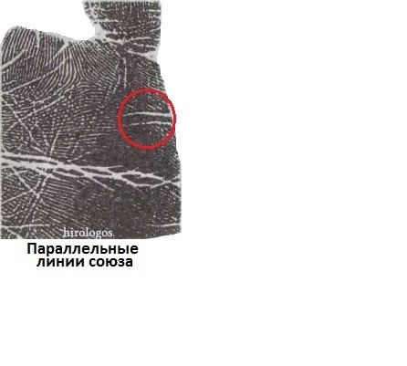 Близко расположенные и параллельные линии брака. Хиромантия