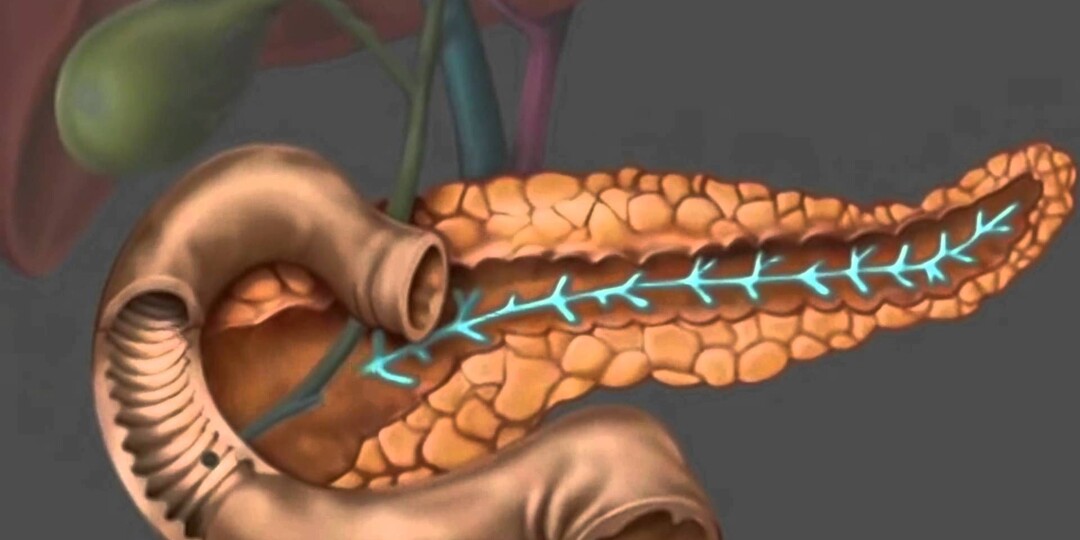 Слабая поджелудочная: как понять, что она уже не справляется