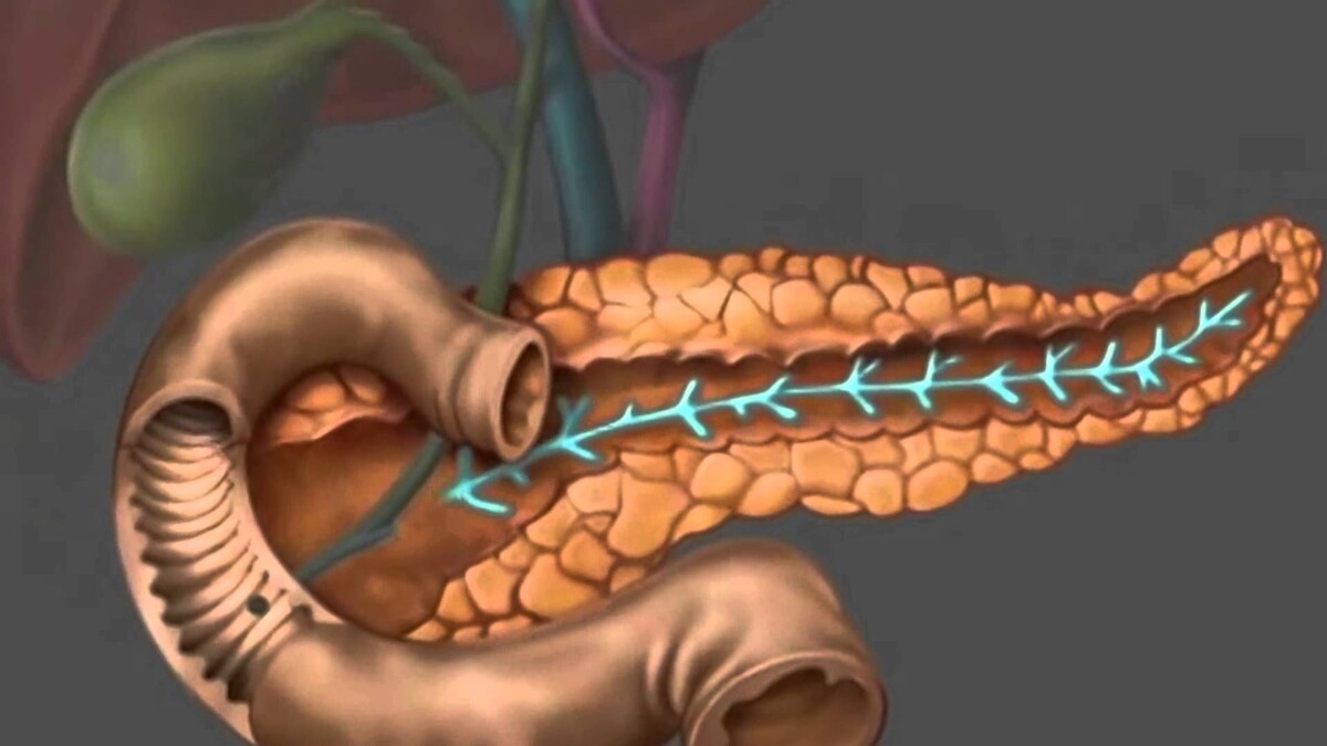 Слабая поджелудочная: как понять, что она уже не справляется