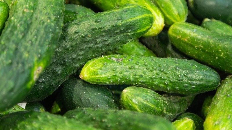      Фото: @user11472009 / freepik.com