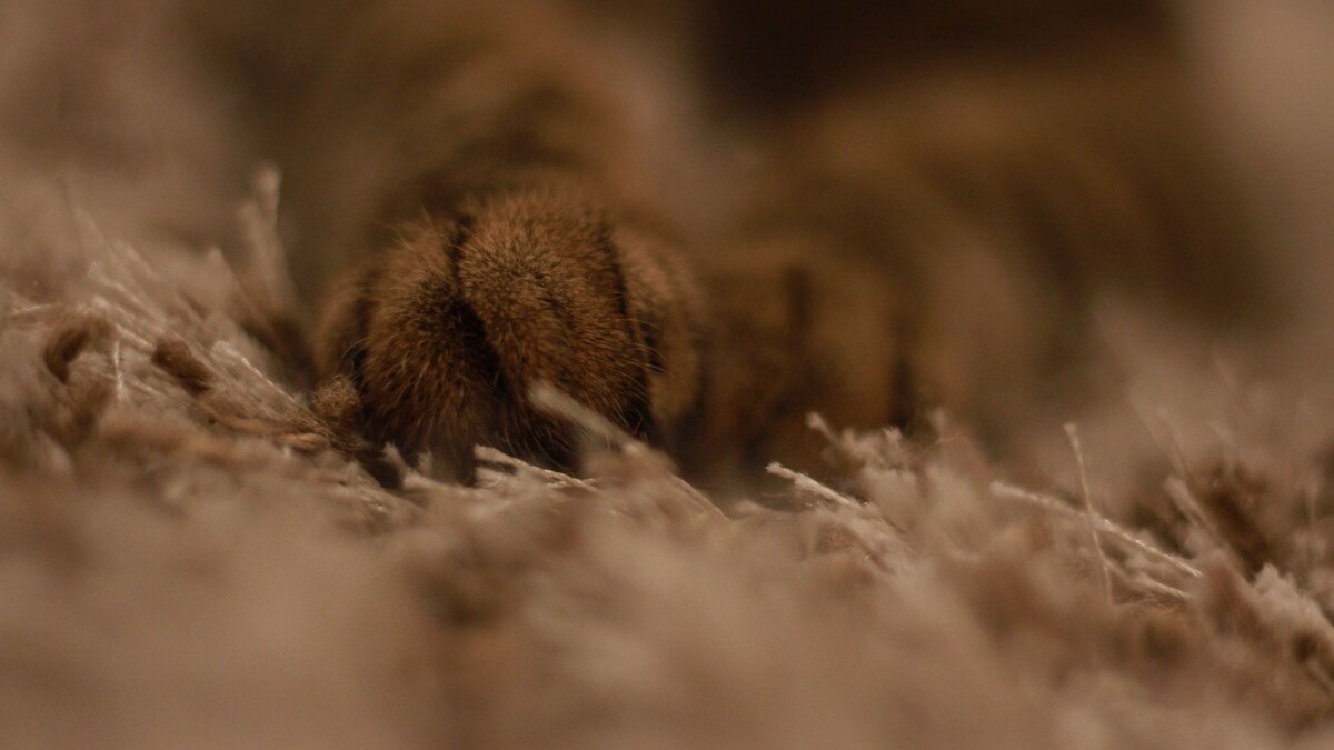     Источник: 1MI