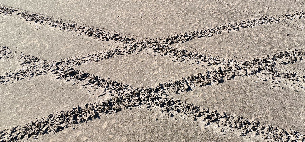 "Магнитный" песок в бухте Головнина, остров Кунашир. 