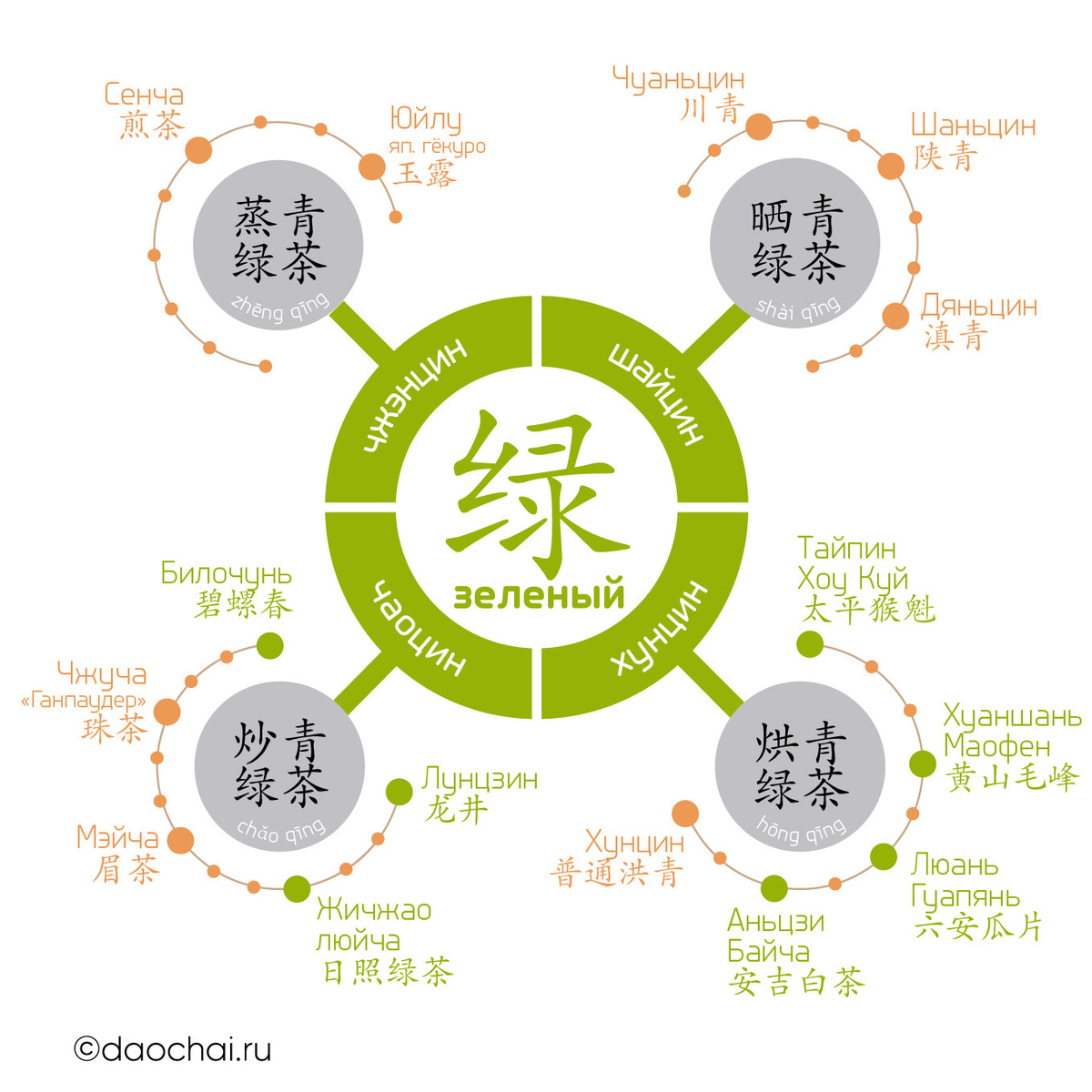 Инфографика: классификация зеленого чая