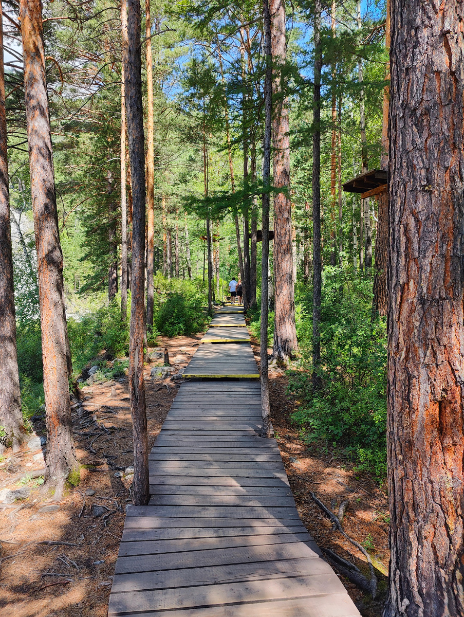 Отрезок тропы на Первый водопад 