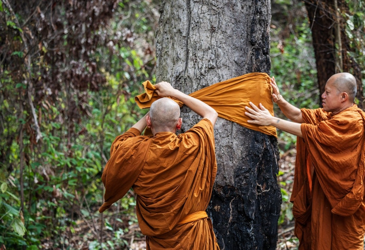 Работай хорошо, дерево, ты теперь наш брат