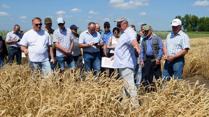     Семинар "Культура семян" Дмитрий Лямзин