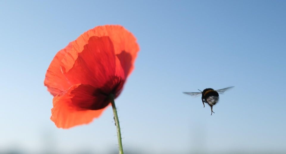    Sebastian Willnow/dpa / www.globallookpress.com