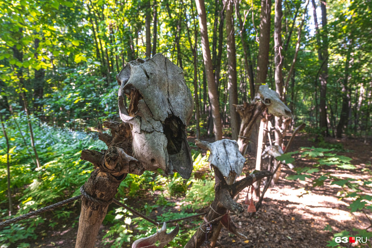 Фото с неоязыческого капища в Самарской области. 