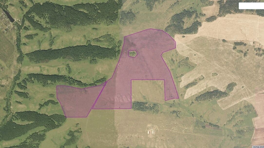     Источник: t.me/krpronws